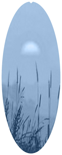 DNSA18-334-BL Harvest Sunrise Blue